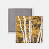 Herbstlandschaft, Vermont, USA Magnet (Vorderseite/Rückseite)