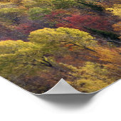 Herbstlandschaft, Vermont, USA Poster (Ecke)