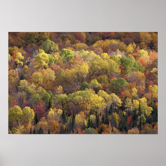 Herbstlandschaft, Vermont, USA Poster (Vorne)