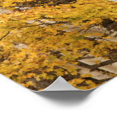 Herbstlandschaft, Vermont, USA Poster (Ecke)