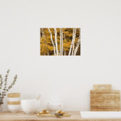 Herbstlandschaft, Vermont, USA Poster (Küche)