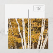 Herbstlandschaft, Vermont, USA Postkarte (Vorne/Hinten)