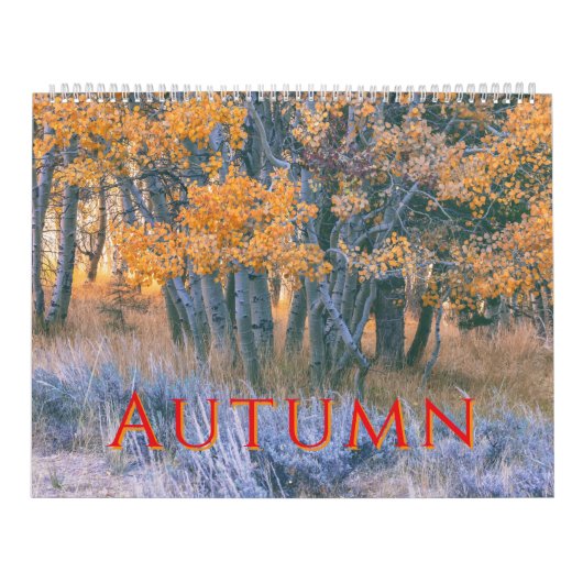 Herbstlandschaften Kalender (Titelbild)