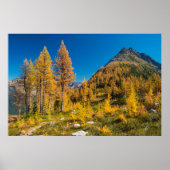 HerbstLarven bei Easy Pass Poster (Vorne)