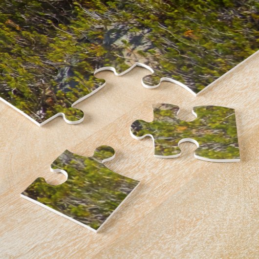 HerbstLarven bei Easy Pass Washington Puzzle (Seite)