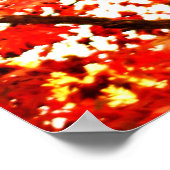 Herbstlaub 002 poster (Ecke)