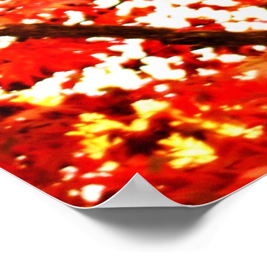 Herbstlaub 002 poster (Ecke)