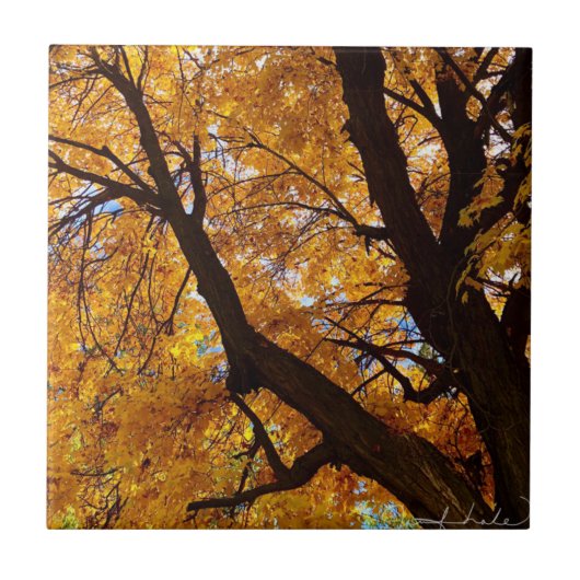 HERBSTLAUB 3 FLIESE (Vorderseite)