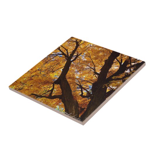 HERBSTLAUB 3 FLIESE (Seite)