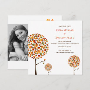 Herbstlaub Bäume Hochzeit Save The Date