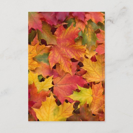 Herbstlaub Burlap Hochzeitsempfang Begleitkarte (Rückseite)