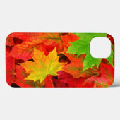 Herbstlaub Case-Mate iPhone Hülle (Rückseite (Horizontal))
