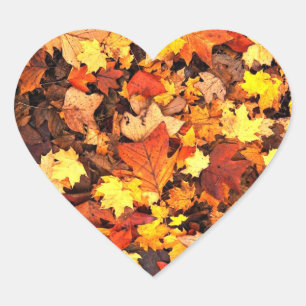 Herbstlaub, die Farben des Herbstes Herz-Aufkleber
