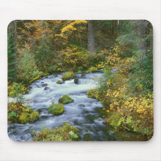 Herbstlaub & Douglasien-Grenze Roaring River Mousepad (Vorne)