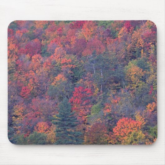 Herbstlaub eines Mischhartholzwaldes Mousepad (Vorne)