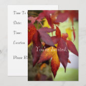 Herbstlaub-… Einladung (Vorne/Hinten)