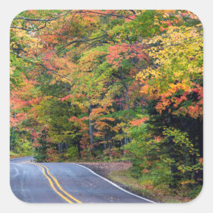 Herbstlaub entlang der Autobahn 41 2 Quadratischer Aufkleber