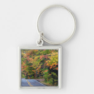 Herbstlaub entlang der Highway 41 2 Schlüsselanhänger