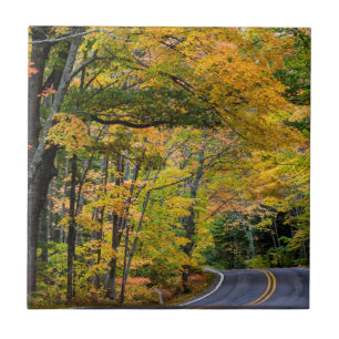 Herbstlaub entlang des Highway 41 Fliese