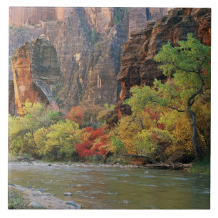 Herbstlaub entlang des Virgin River nahe dem Einga Fliese