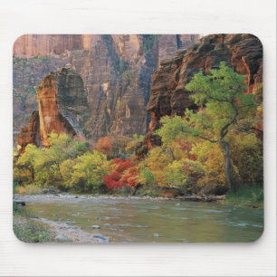 Herbstlaub entlang des Virgin River nahe dem Einga Mousepad