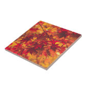 Herbstlaub fällt Farbe Rot Keramikfliese (Seite)