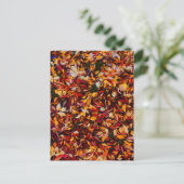 Herbstlaub Farbige Blätter  Postkarte (Stehend Vorderseite)