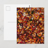Herbstlaub Farbige Blätter  Postkarte (Vorne/Hinten)