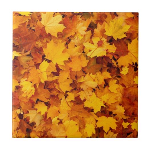 Herbstlaub Fliese (Vorderseite)