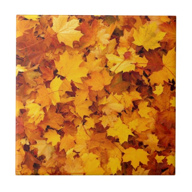 Herbstlaub Fliesen | Zazzle.de