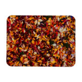 Herbstlaub-Foto Magnet (Horizontal)
