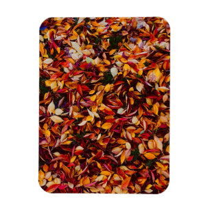 Herbstlaub-Foto Magnet