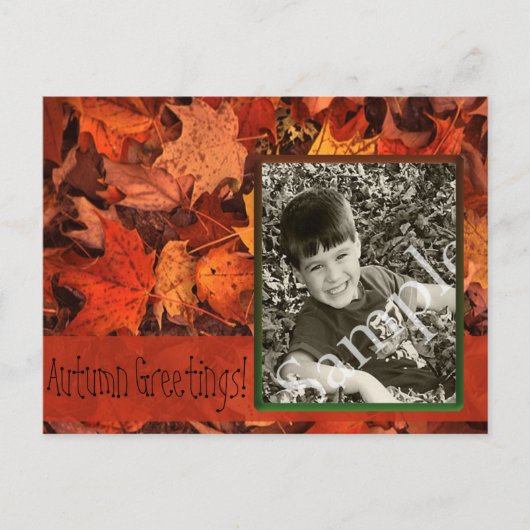 Herbstlaub Foto Postkarte (Vorderseite)