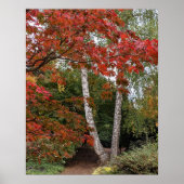 Herbstlaub-Fotografie Poster (Vorne)