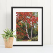 Herbstlaub-Fotografie Poster