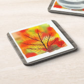 Herbstlaub für einen Farbspritzer Getränkeuntersetzer (Linke Seite)