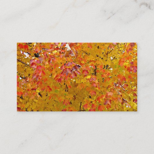 Herbstlaub-Geschäfts-Karten, Herbst-Blätter, Natur Visitenkarte (Vorderseite)