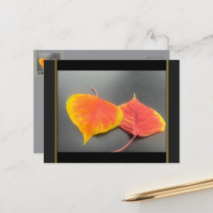 Herbstlaub-Grußkarte Postkarte