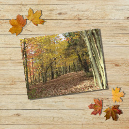 Herbstlaub Herbst Foto Urlaub Postkarte