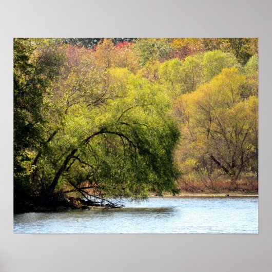 Herbstlaub - Herbst-Schönheitspopster Poster (Vorne)