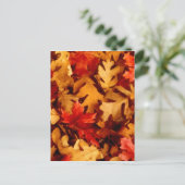 Herbstlaub - Herbstfarbe Postkarte (Stehend Vorderseite)