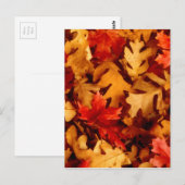 Herbstlaub - Herbstfarbe Postkarte (Vorne/Hinten)