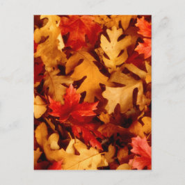 Herbstlaub - Herbstfarbe Postkarte
