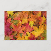Herbstlaub Herbstfarben Hochzeitsempfang Begleitkarte (Rückseite)