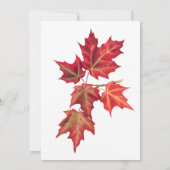 Herbstlaub Herbstillustrierung Einladung Hochzeit (Rückseite)