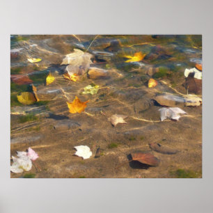 Herbstlaub im Teichwasser Naturfotografie Poster