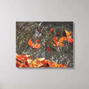 Herbstlaub im Wasserfall I Herbstfotografie Leinwanddruck