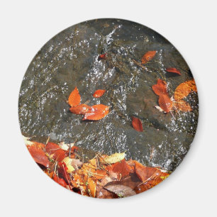 Herbstlaub im Wasserfall I Herbstfotografie Magnet