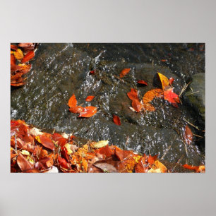 Herbstlaub im Wasserfall I Herbstfotografie Poster