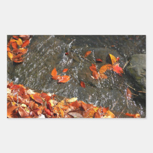 Herbstlaub im Wasserfall I Herbstfotografie Rechteckiger Aufkleber